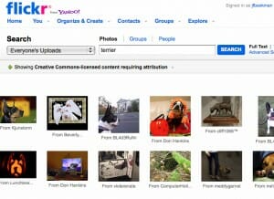 flickr3