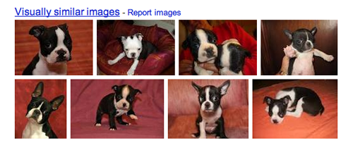 Google Image Search Google Image Search