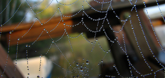 Post image for This week in the Blogs, August 26 – September 1, 2012