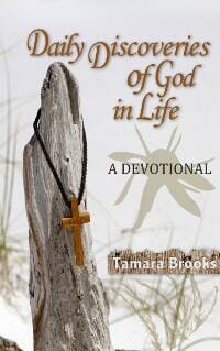 Daily Discoveries of God in Life: A Devotional