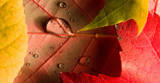 Post image for This Week in the Blogs, November 4 – 11, 2012