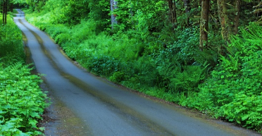 Post image for When to Self-Publish: A Publisher’s Perspective
