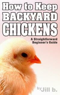 How to Keep Backyard Chickens - A Straightforward Beginner's Guide