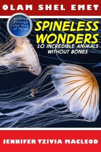 Spineless Wonders: 10 Incredible Animals Without Bones