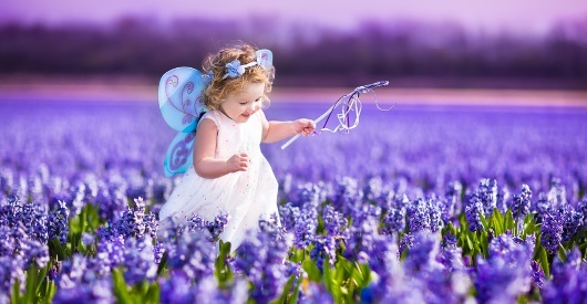 Post image for The Princess Author Syndrome