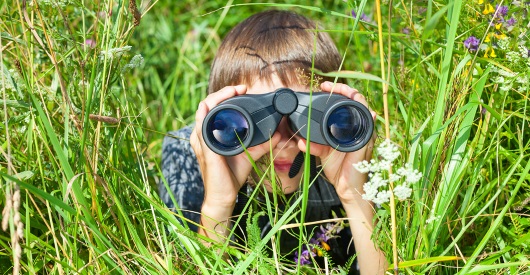 Post image for Whose Story Is It? Self-Editing for Point of View