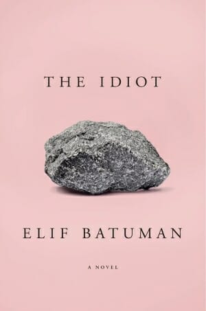 The Idiot book cover