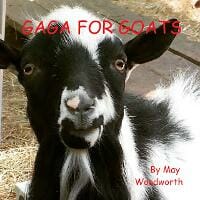 Gaga For Goats!
