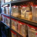 filing system filing system