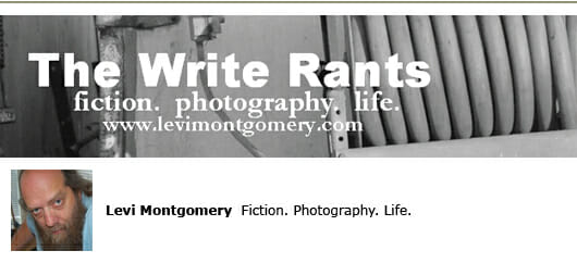 levi montgomery self-publishing blogs fiction writing