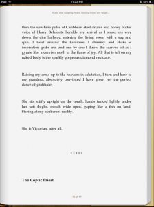Lisa Alpine - click to enlarge ibookstore apple ipad fonts self-publishing