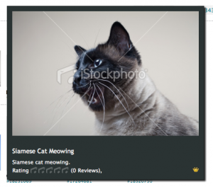 istockphoto-hover istockphoto-hover