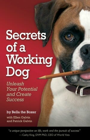 10 Secrets of a Working Dog