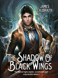 The Shadow of Black Wings