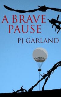 A Brave Pause