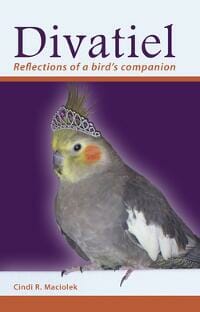 Divatiel: Reflections of a bird's companion