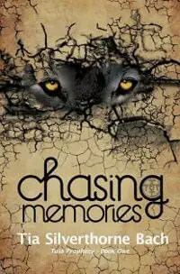 Chasing Memories