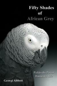 Fifty Shades of African Grey - Pickles the Parrot Dominates Life
