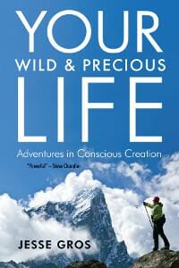 Your Wild & Precious Life