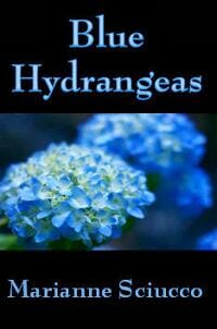 Blue Hydrangeas