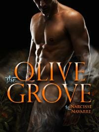 The Olive Grove