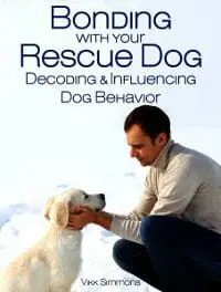 Bonding with your Rescue Dog: Decoding and Influencing Dog Behavior