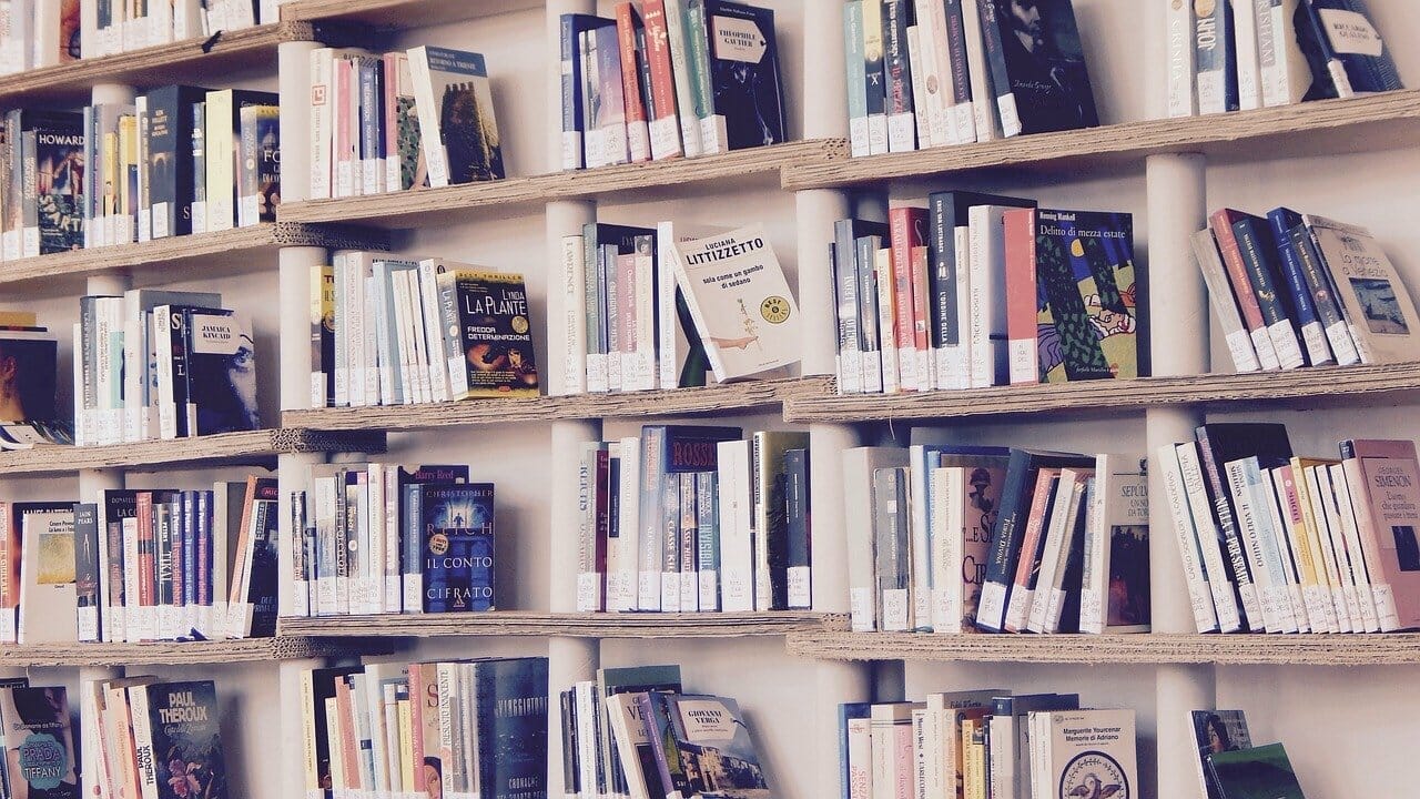 self-editing for fiction authors cover image showing a bookshelf
