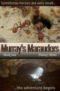 Murray's Marauders