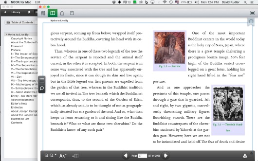 Nook page sample