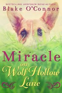 Miracle on Wolf Hollow Lane
