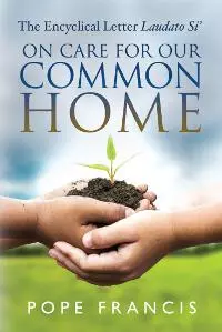On Care for our Common Home