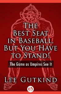 The Best Seat in Baseball, But You Have to Stand!