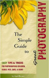 The Simple Guide to Great Photography