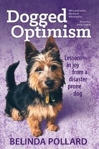 Dogged Optimism: Lessons in Joy from a Disaster-Prone Dog