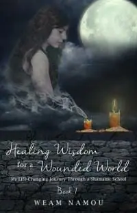 Healing Wisdom for a Wounded World: My Life-Changing Journey Through a Shamanic School