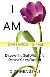 I AM: Discovering God When Life Doesn't Go As Planned