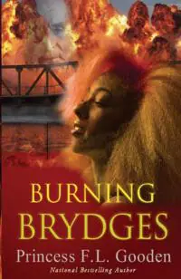 Burning Brydges