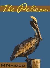 The Pelican