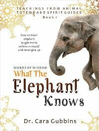 What the Elephant Knows
