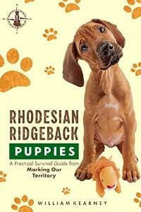 Rhodesian Ridgeback Puppies