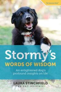 Stormy's Words of Wisdom: An enlightened dog's profound insights on life