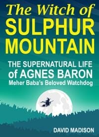 The Witch of Sulphur Mountain: The Supernatural Life of Agnes Baron, Meher Baba's Beloved Watchdog