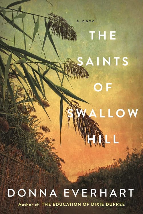 psychology of color - brown - The Saints of Swallow Hill by Donna Everhart