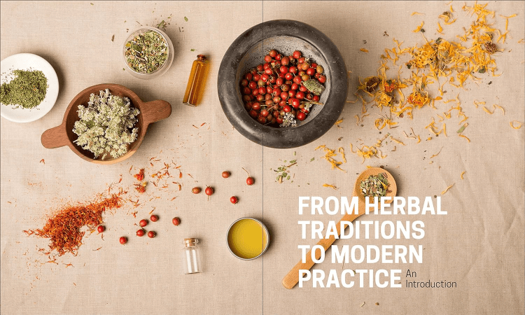 The Herbal Apothecary: 100 Medicinal Herbs and How to Use Them by JJ Pursell Book Interior