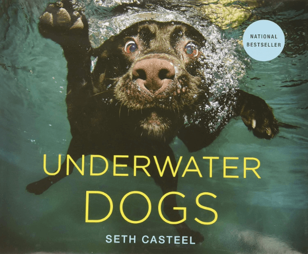 Underwater Dogs by Seth Casteel Book Cover