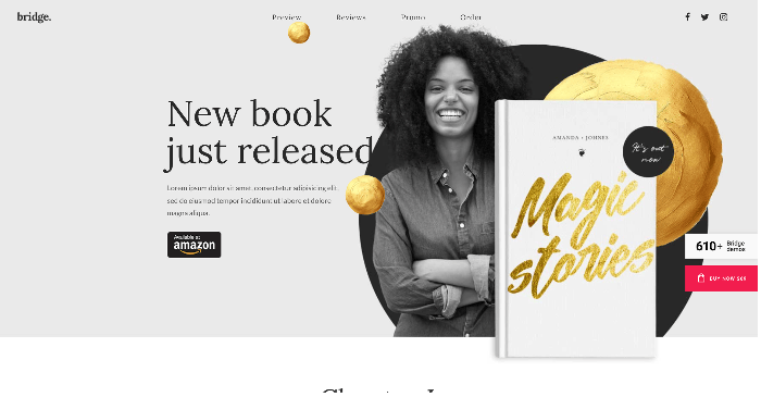 best WordPress themes for authors - Bridge theme