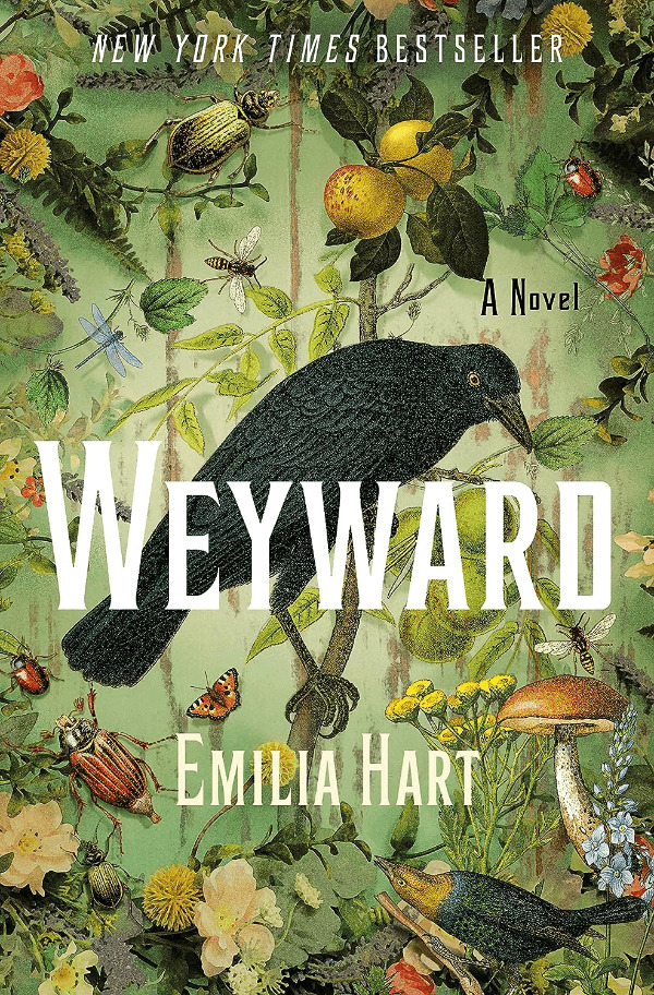 Weyward by Emilia Hart Book Cover