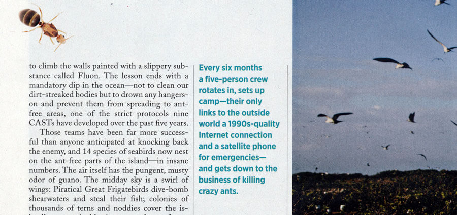 Magazine page with a pull quote about conservation efforts, 'Every six months a five-person crew... gets down to the business of killing crazy ants.'